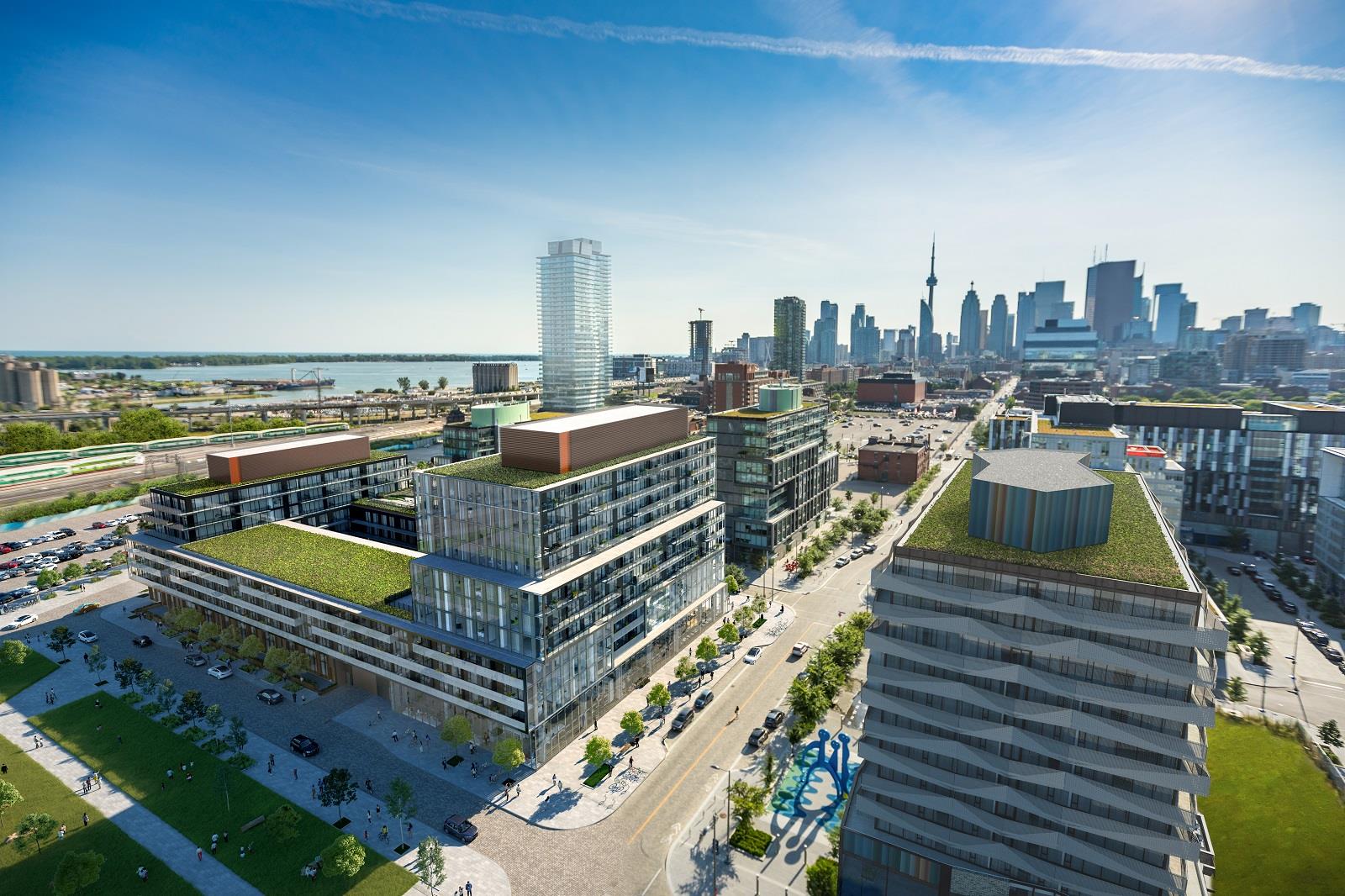 Canary Commons rendering